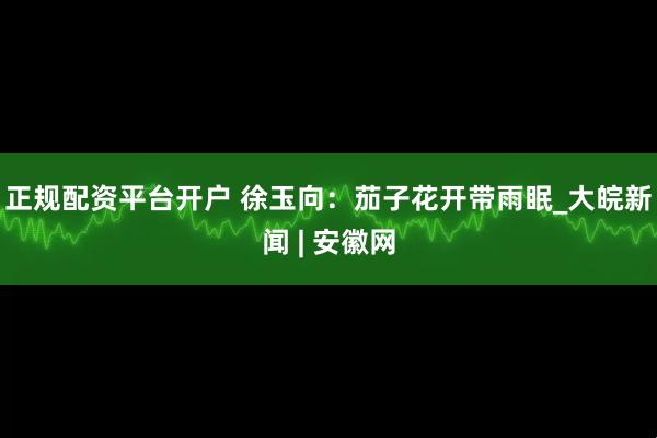 正规配资平台开户 徐玉向：茄子花开带雨眠_大皖新闻 | 安徽网